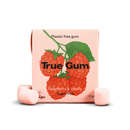 “True Gum” dabīga košļājamā gumija bez cukura ar ksilītu, 13 gab.