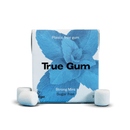 “True Gum” dabīga košļājamā gumija bez cukura ar ksilītu, 13 gab.